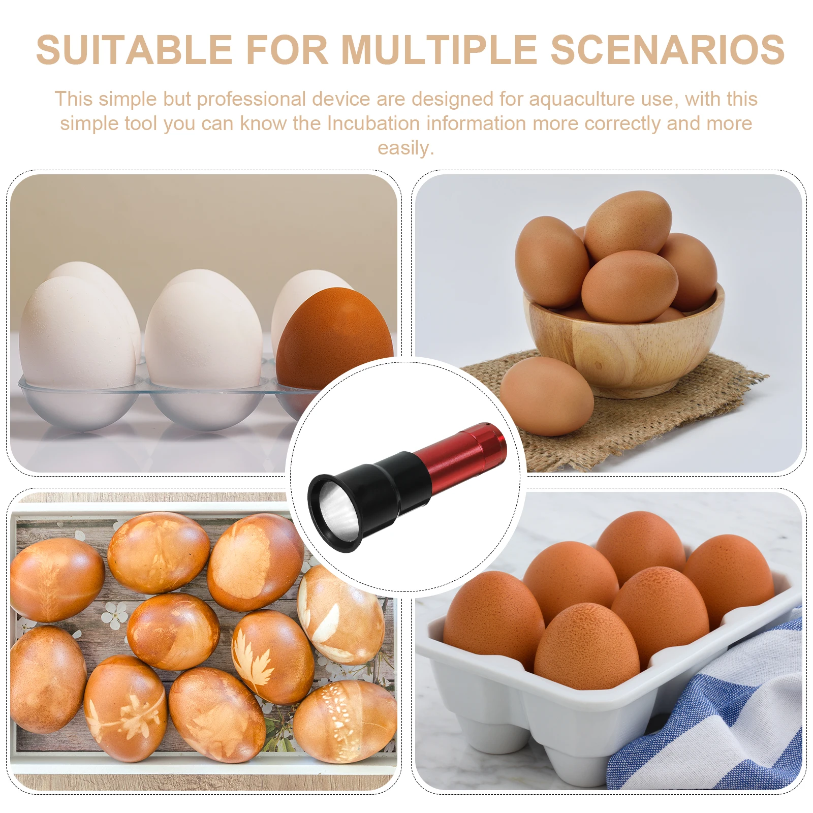 

Cold Incubation Equipment Egg Candler for Chicken Eggs High Brightness Durable Design Portable Tester Lamp Egg Candler