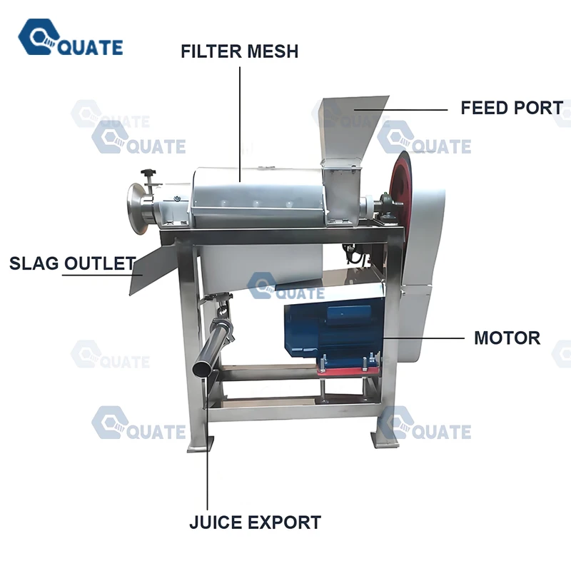 Cold Press Fruit Juice Machine For Mango Pomegranate And Grape Small Business Fresh Juice Production Line