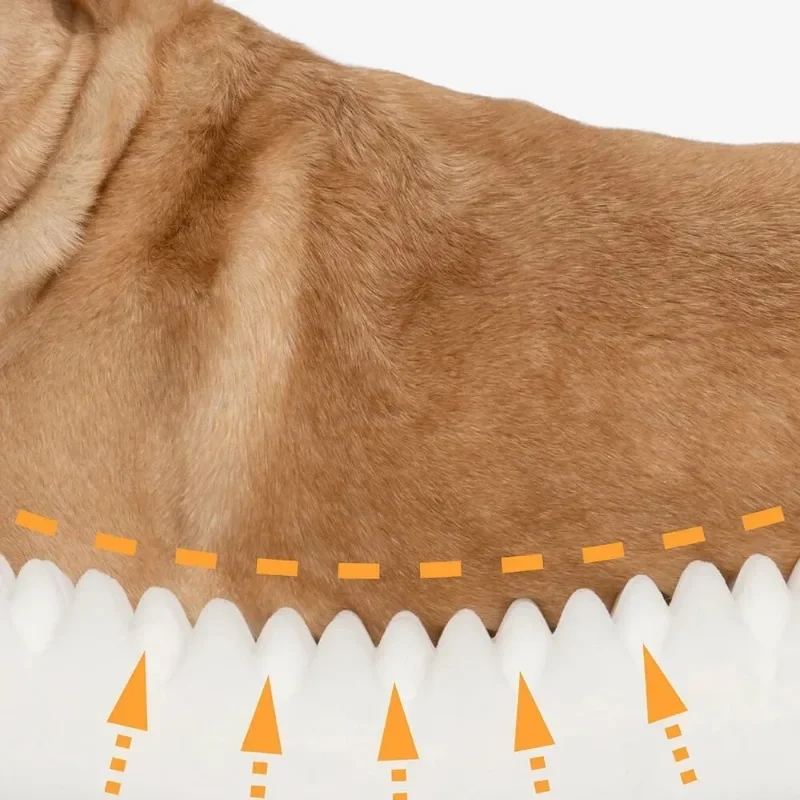 Modern Cushion Sofa Bed for Cats and Dogs, Sleeping Bag, Kennel for Larger Dogs, Massage Bed, Small House, Cushion Beds, Pet Pro view 4