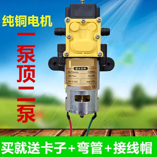 

Electric spray Water pump High power Water pump High pressure Intelligent motor Agricultural 12V DC