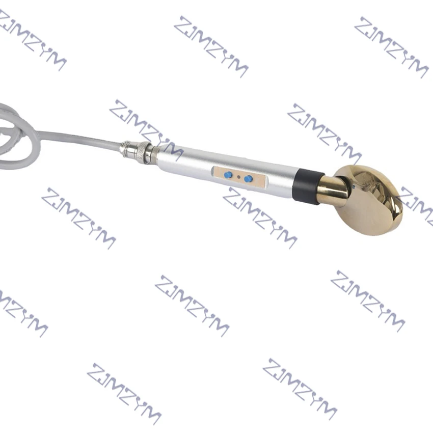 Facial Skin Care Massager Beauty Device Microcurrent Thread Lift Face Golden Spoon