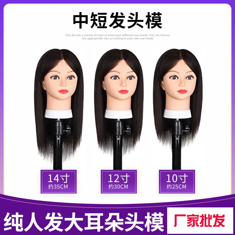 Manufacturers Wholesale Full Real Hair Dummy Head Model Head Model Apprentice Real Hair Can Be Permed, Dyed, and Blown