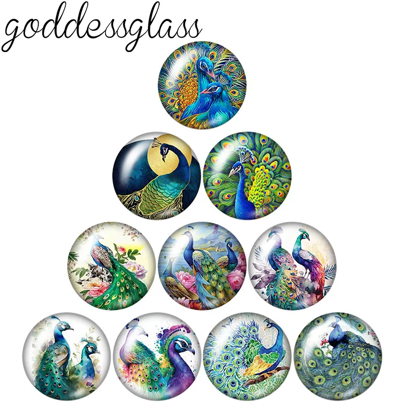 New Animal peacock Bird 10pcs 12mm/18mm/20mm/25mm Round photo glass cabochon demo flat back Making findings