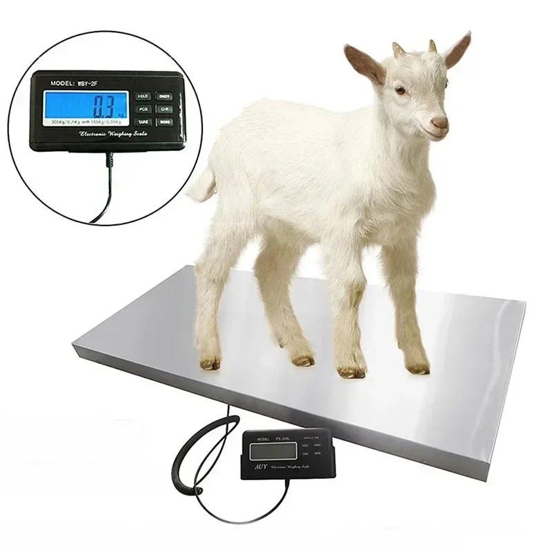 Charming Price Veterinary Equipment Live Animal Scale High Precision Chicken Digital Weighing Scales 300KG BB