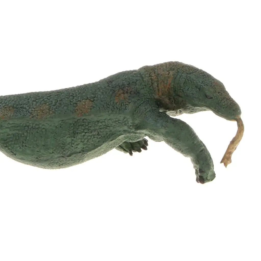 تماثيل نماذج للحيوانات، لعبة مجسمة للزواحف مقاس 6.3 بوصة للأطفال، لعبة تعليمية طبيعية #6