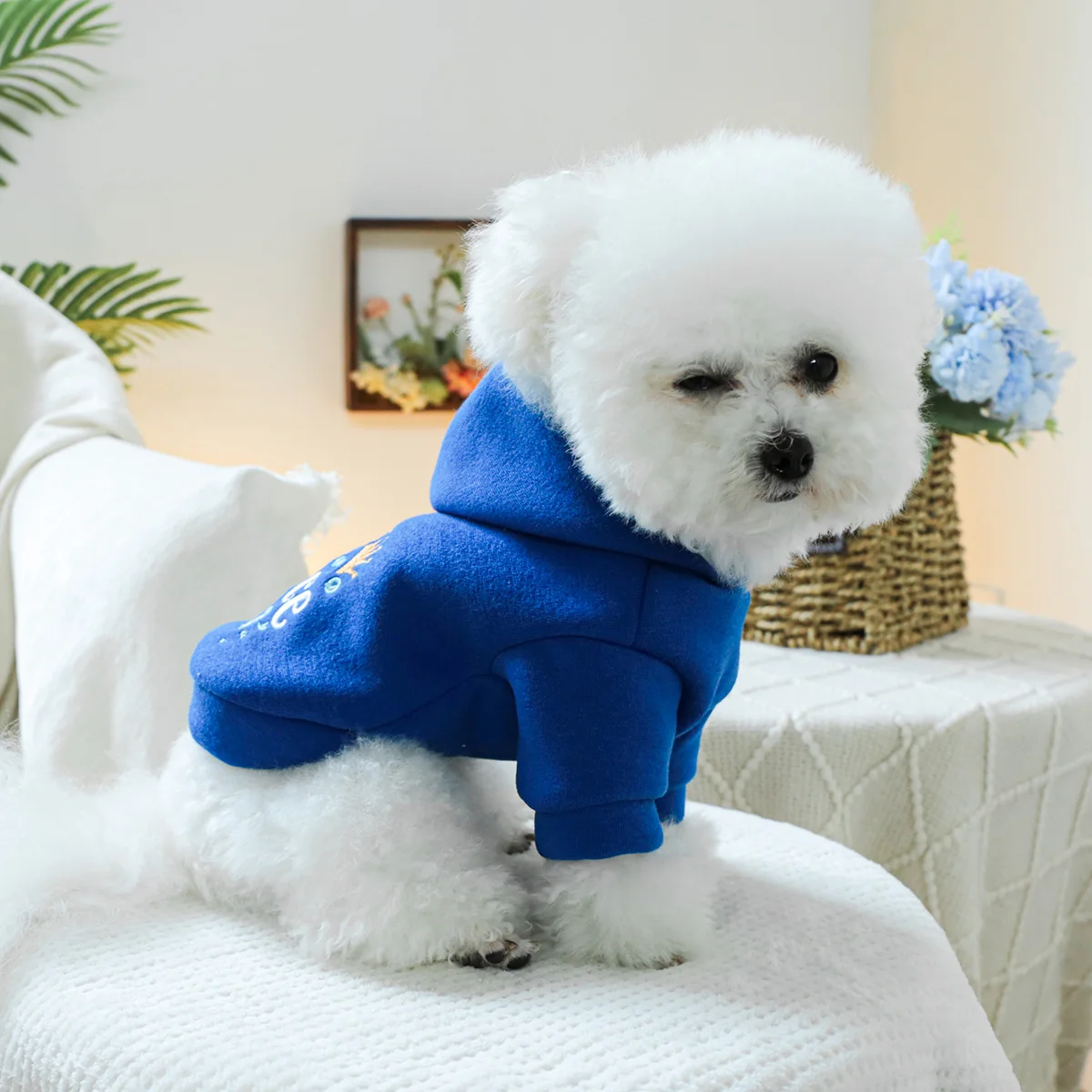 1PC Pet Clothing Spring and Autumn Velvet Blue Little Prince Hoodie Hat Hoodie Suitable for Small and Medium sized Dogs