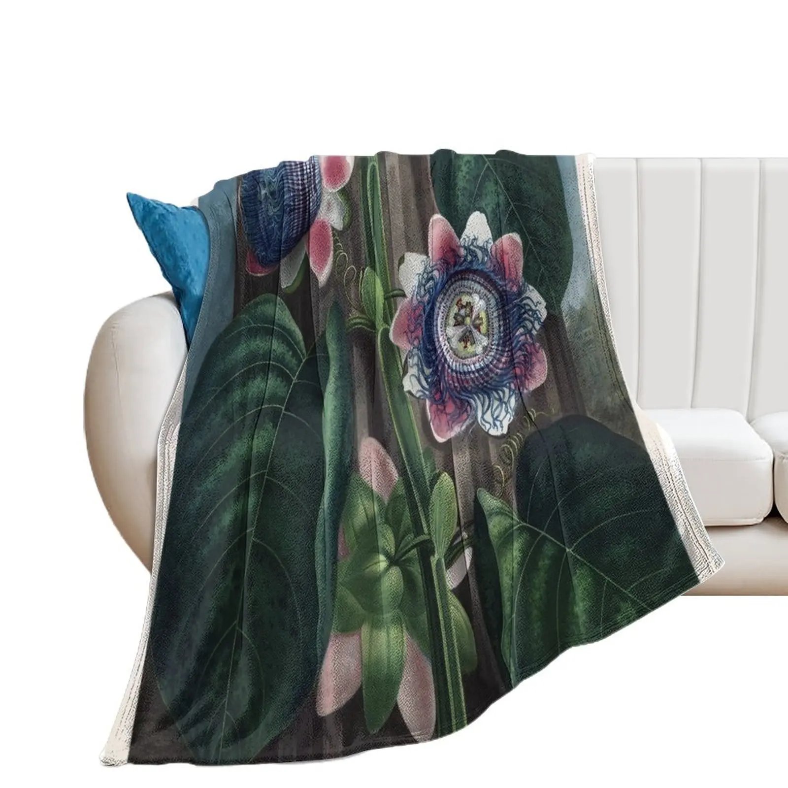 Vintage Flower Plate - The Quadrangular Passion Flower - Robert John Thornton Throw Blanket manga Cute Plaid Blankets