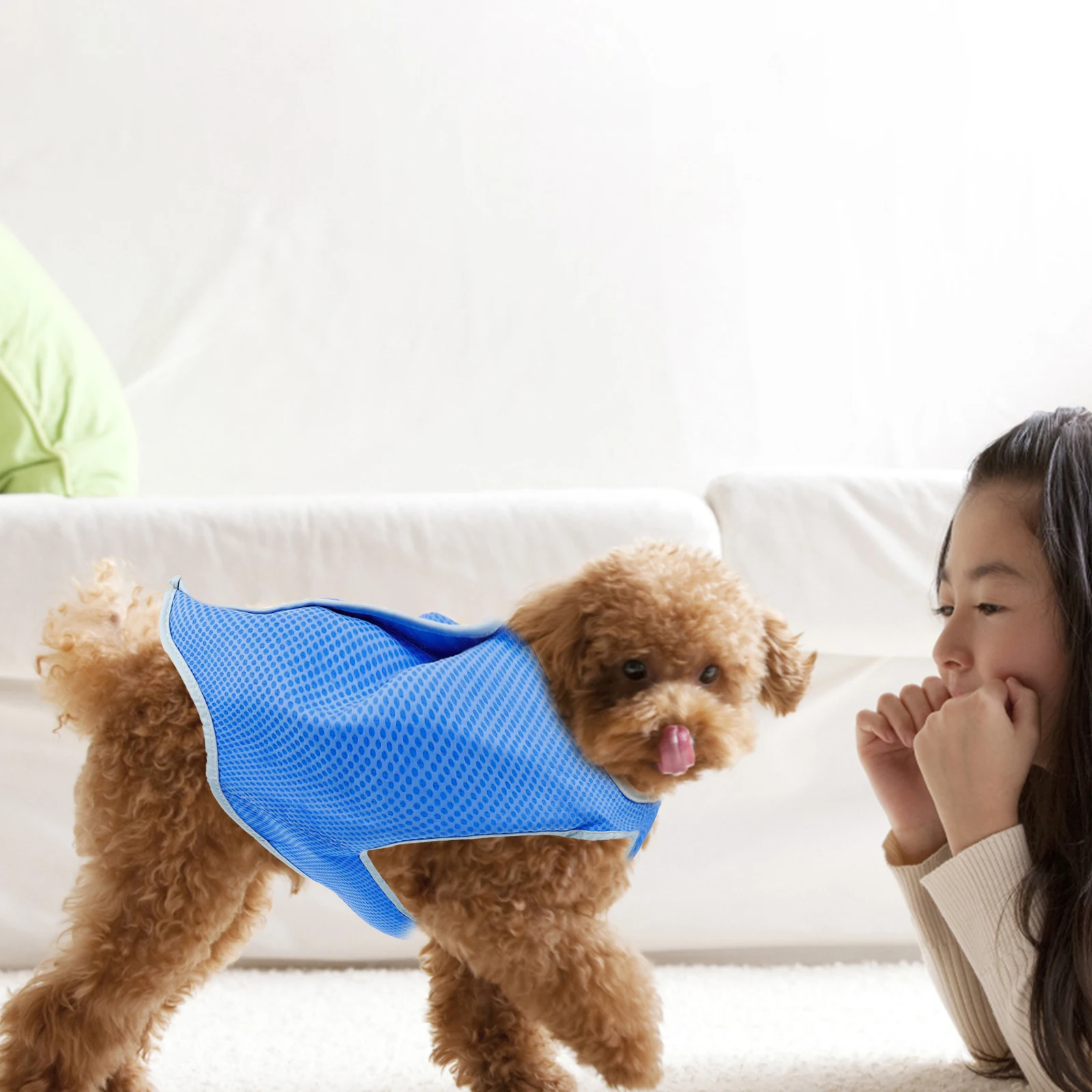 

Dog Cooling Vest Canine Adjustable Accessories for Dogs Pet Harness Bandanas Cat