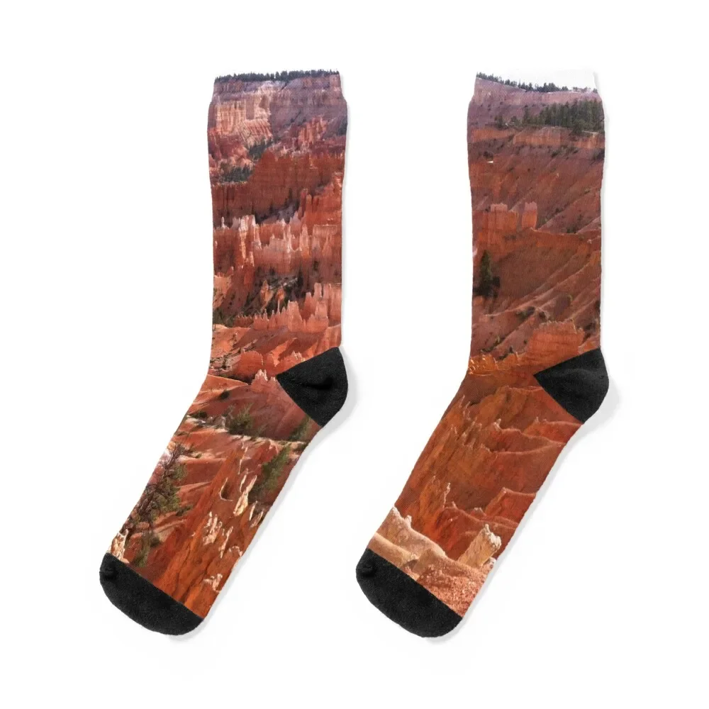 

Bryce Canyon National Park Socks snow kids man winter gifts Socks Women Men's