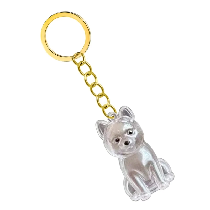 

Elegant Pet Loss Memorial Keychain Features Visible Hair Storage Chamber And Durable Pet Hair Box Keyring