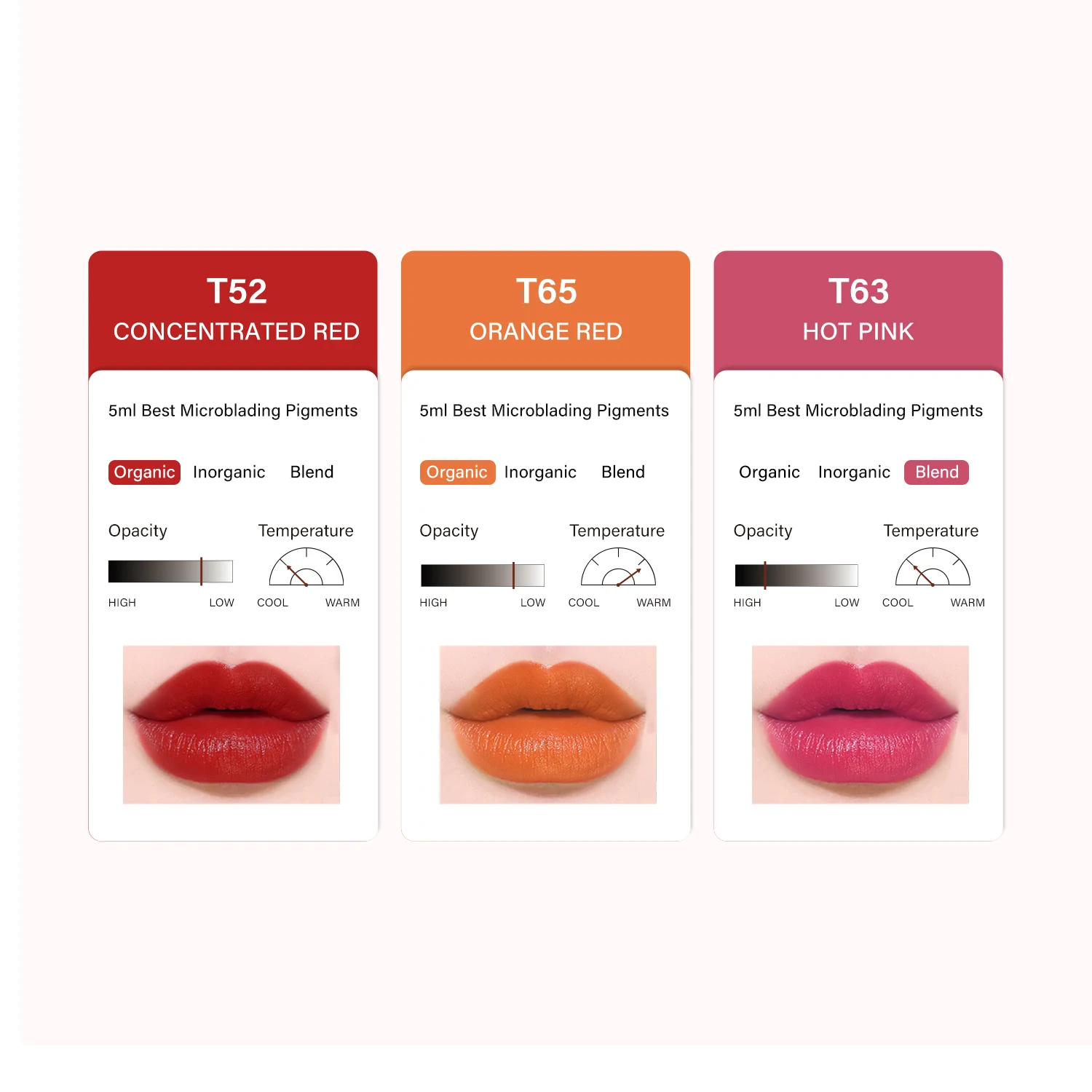 FAMISOO 22 colores 5ML maquillaje permanente tatuaje labios cejas delineadores pigmentos tamaño de muestra pigmentos de tatuaje arte de belleza uso de mujeres