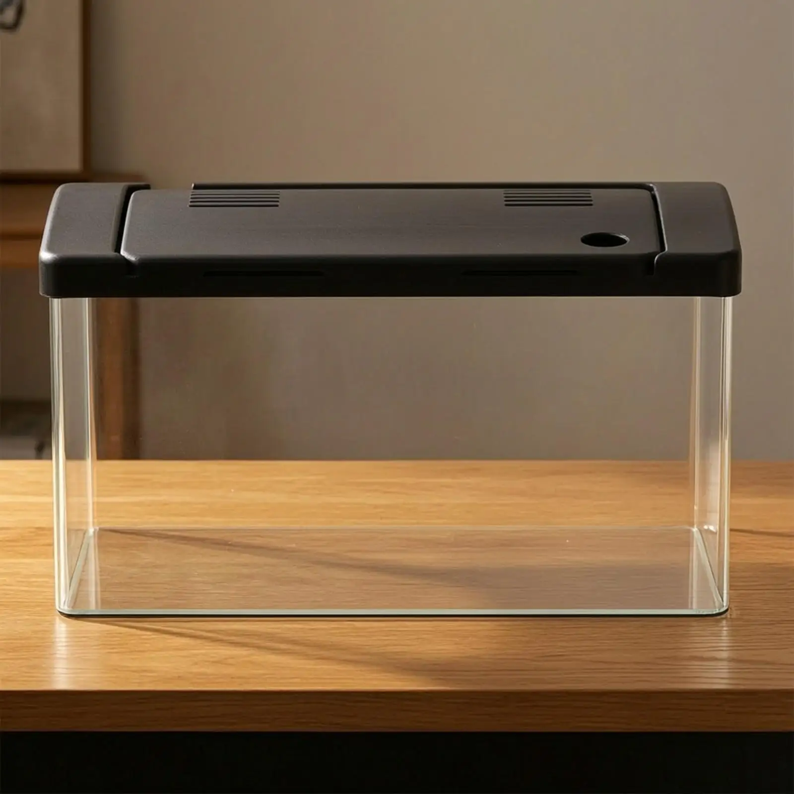 Space Saving Acrylic Aquarium Box Rectangular with Rounded Corners for Home Office Aquatic Decor