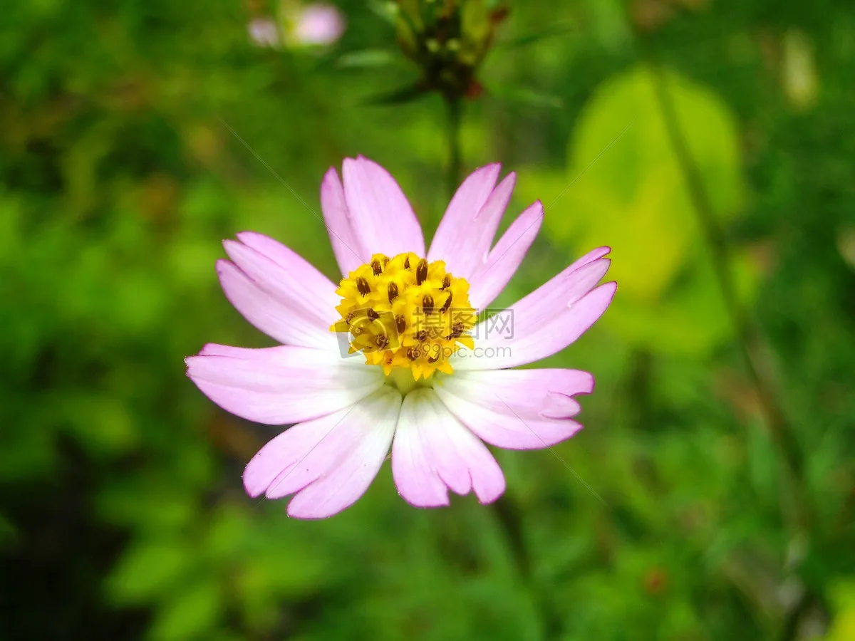 

4 шт. 2,2-дюймовые металлические диски Beadlock из алюминиевого сплава для TRX4 TRX6 Axial SCX10 III 1/10 RC Crawler