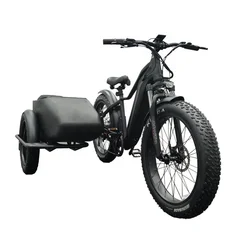 E bike Side Car Adult electric tricycle bicycle 3 wheel ebike electric cargo trike 750w hidden lithium battery etrike sidecar