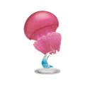 Pink jellyfish
