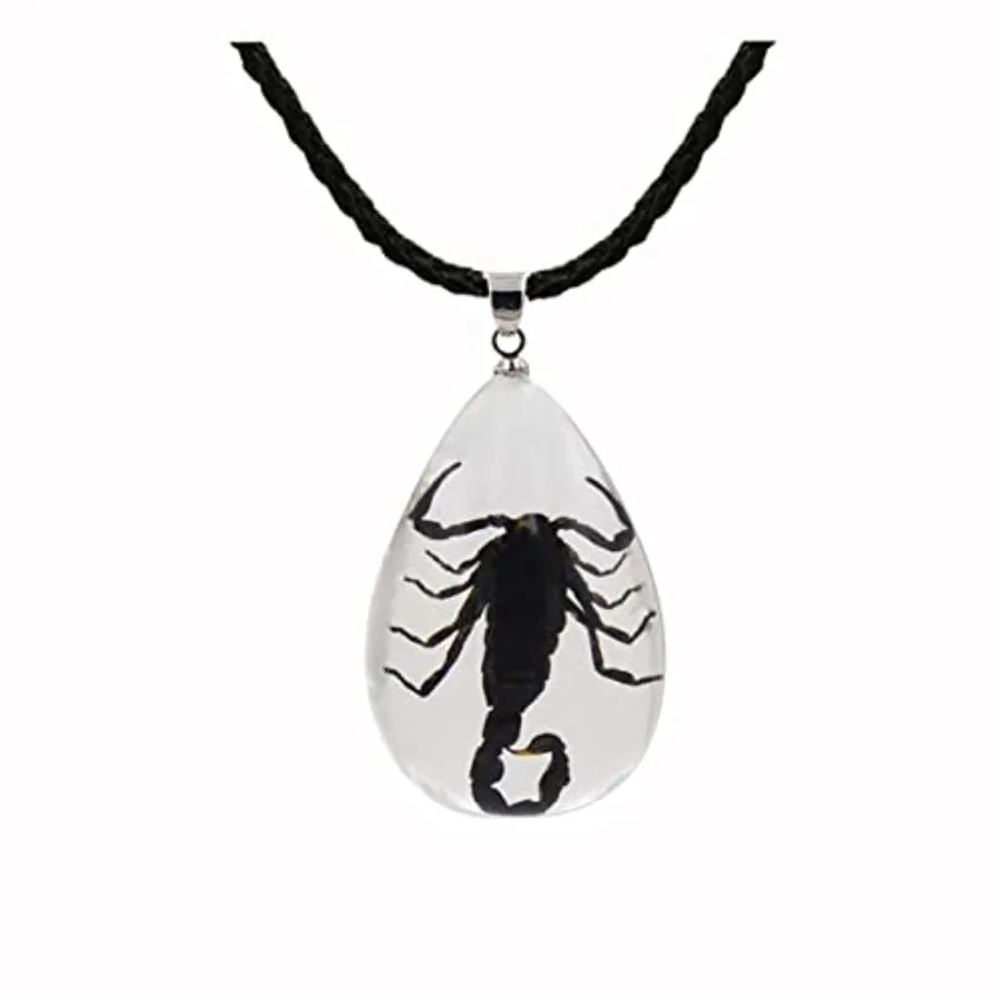 

Black Scorpion Necklace Resin Necklace Bug Necklace Transparent Scorpion Pendant Real Black Scorpion Specimen Clear Necklace Sc