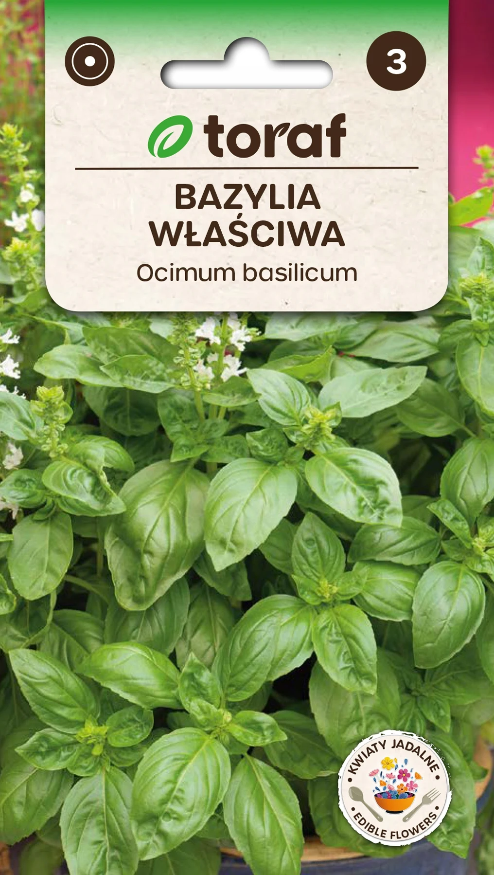 Kruidenzaden Basilicum, juiste kruiden-Toraf 281