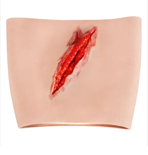 

2025 NEW Trauma Simulated Wound Practice Module for Nurse Training & Schools Featuring Hemostasis & First-Aid Practice Manikins