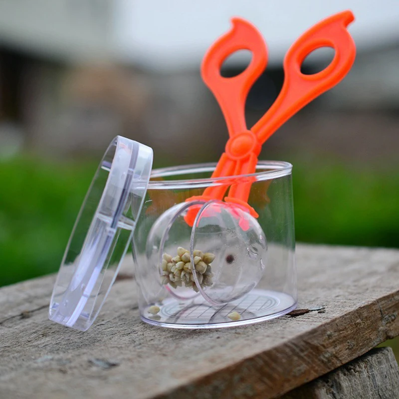 Juego de Herramientas de estudio de biología de insectos y plantas para niños, tijera de plástico, pinzas de abrazadera, lindo Kit de juguete de