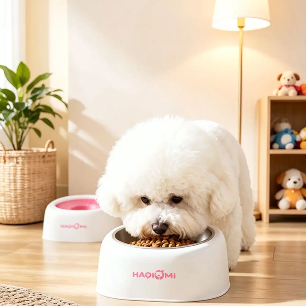 Pet Floating Water Bowl Slow Feeder Anti Splash Basin Dog Drinker Keeps Chin Dry Clean Water Supply For Hachimi Puppy