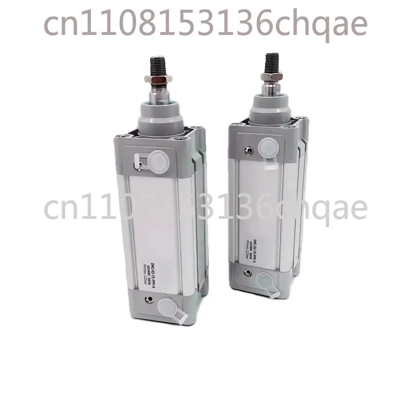 اسطوانة DNC-100-25/50/75/100/125/150/175/200/250/300/350/400/450/500-PPV-A