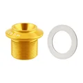 Screws-gold