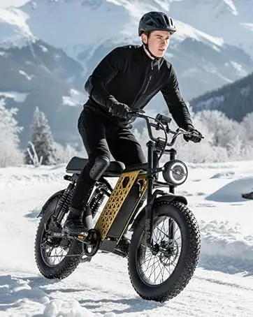 ddc sport ebike