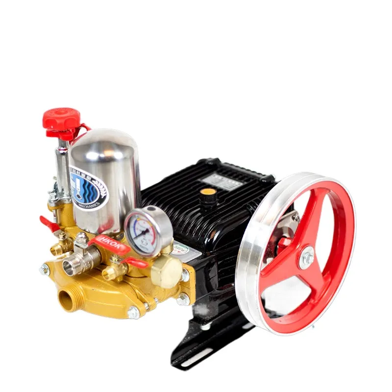 Sprayer large flow suction pump medicine pump 26 type, two water outlets, need butter [stainless steel plunger] y