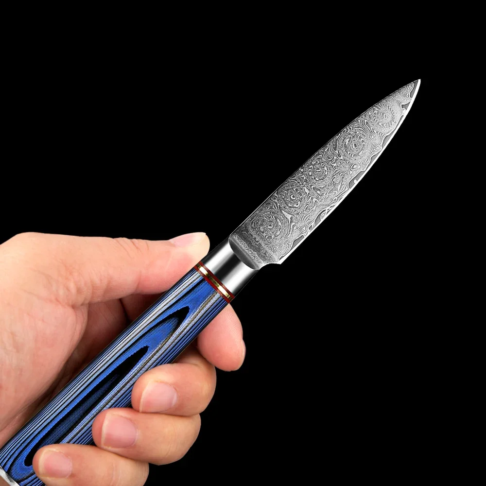 

Damascus Paring Knife 3.5 Inch Ultra Sharp Fruit Kitchen Carving Knife Professional Japanese Utility Knife Cut Blue G10 Handle