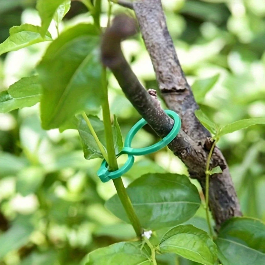 50pcs Garden Plant Support Clip Vine Strapping Clip For  Plant Rattan Climbing Fixture Buckle Tomato Grapevine Hook Support Tool