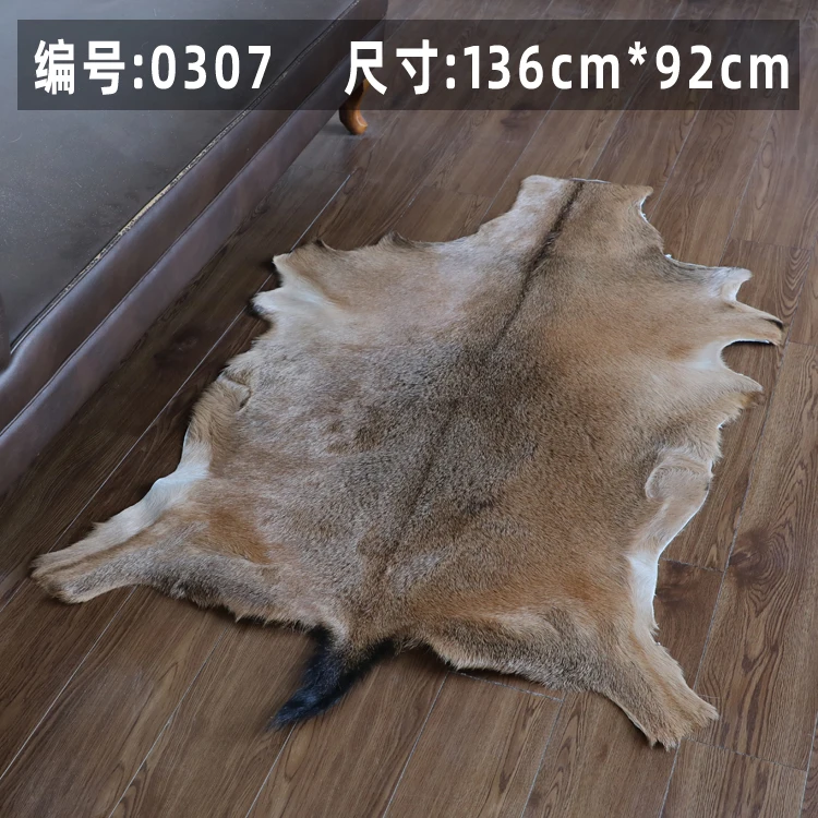 

Luxurious Small Area Rug Handwoven with Soft Wool and Vibrant Patterns Perfect for Living Room Bedroom or Home Office