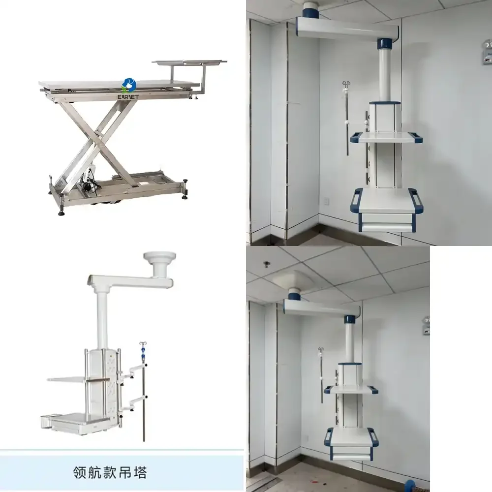 

Arm Pendant Veterinary Instrument for Medical and Veterinary Equipment