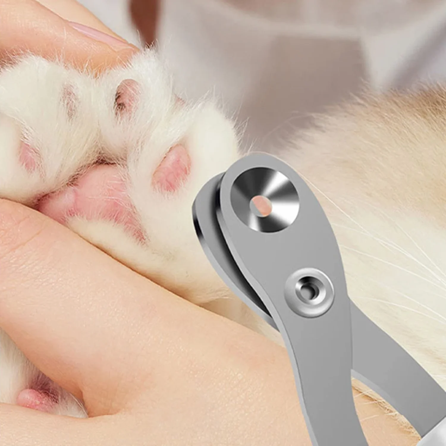 Professional circular hole Cat Nail Scissors Pet Dog Nail Clippers Toe Claw Trimmer Pet Grooming Supplies Products  Small Dog