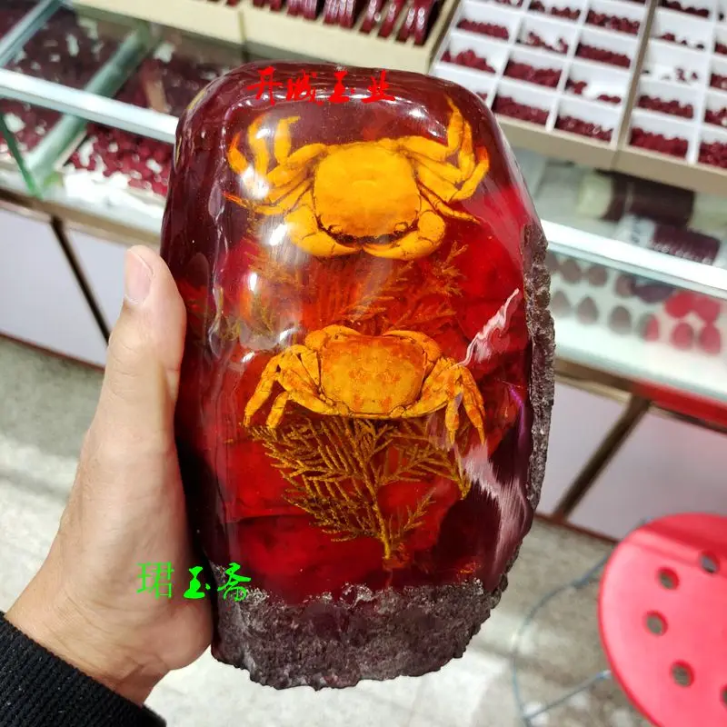 Amber insect ornaments real insect specimens round stump living room decoration crafts  teaching tools wenwan