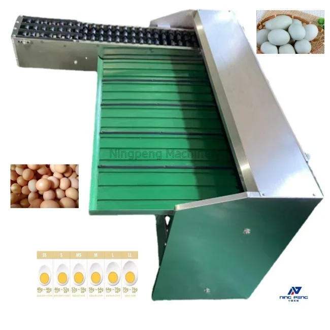 Chinese Manufacturer Electronic Egg Grader Visual AI Egg Detector Auto Packing Machine With 60000 Eggs/ Hour