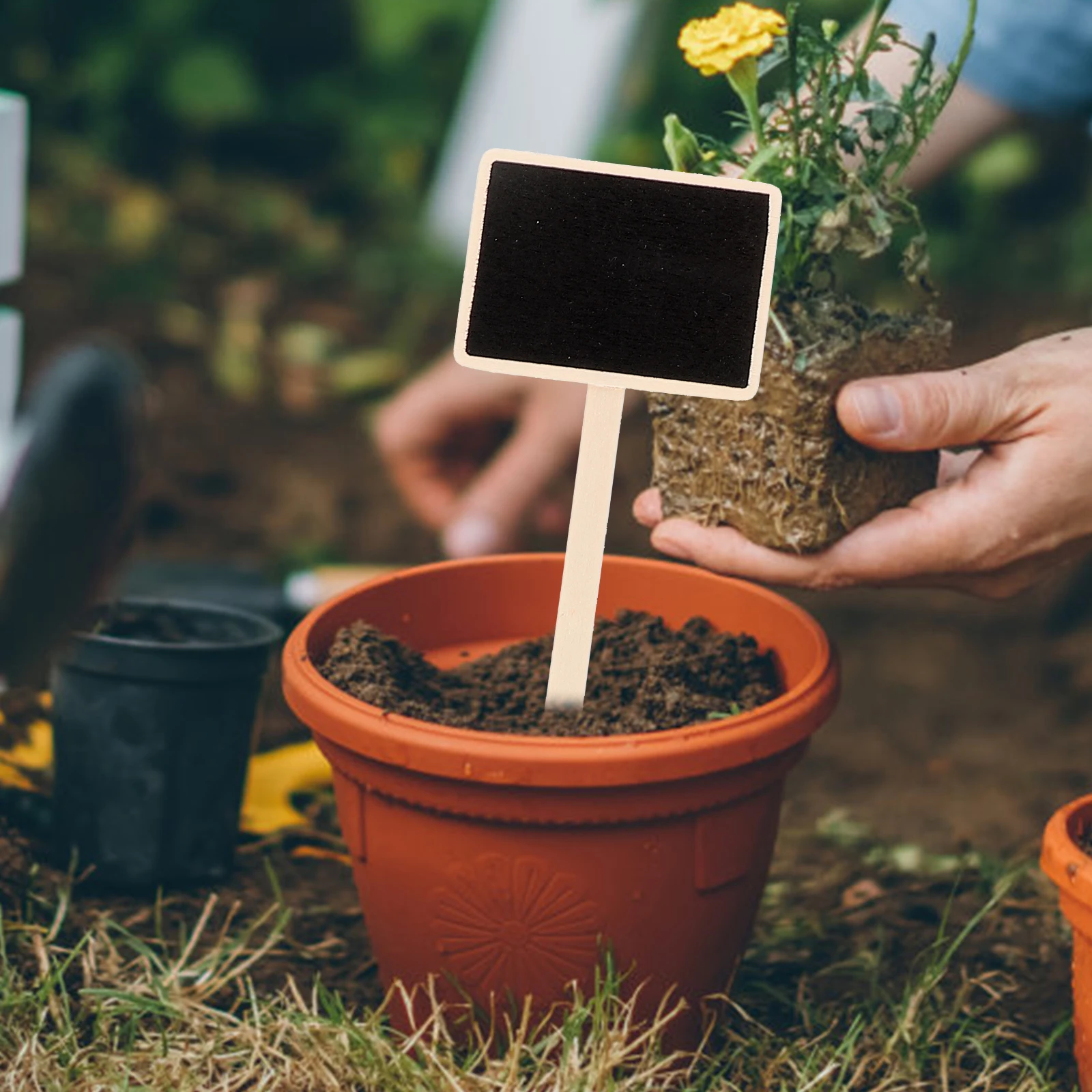

1 set Wooden Chalkboard Stakes Blackboard Signs Smooth Rods Plant Pot Tags Gardening Supplies Home Decoration Mini Message