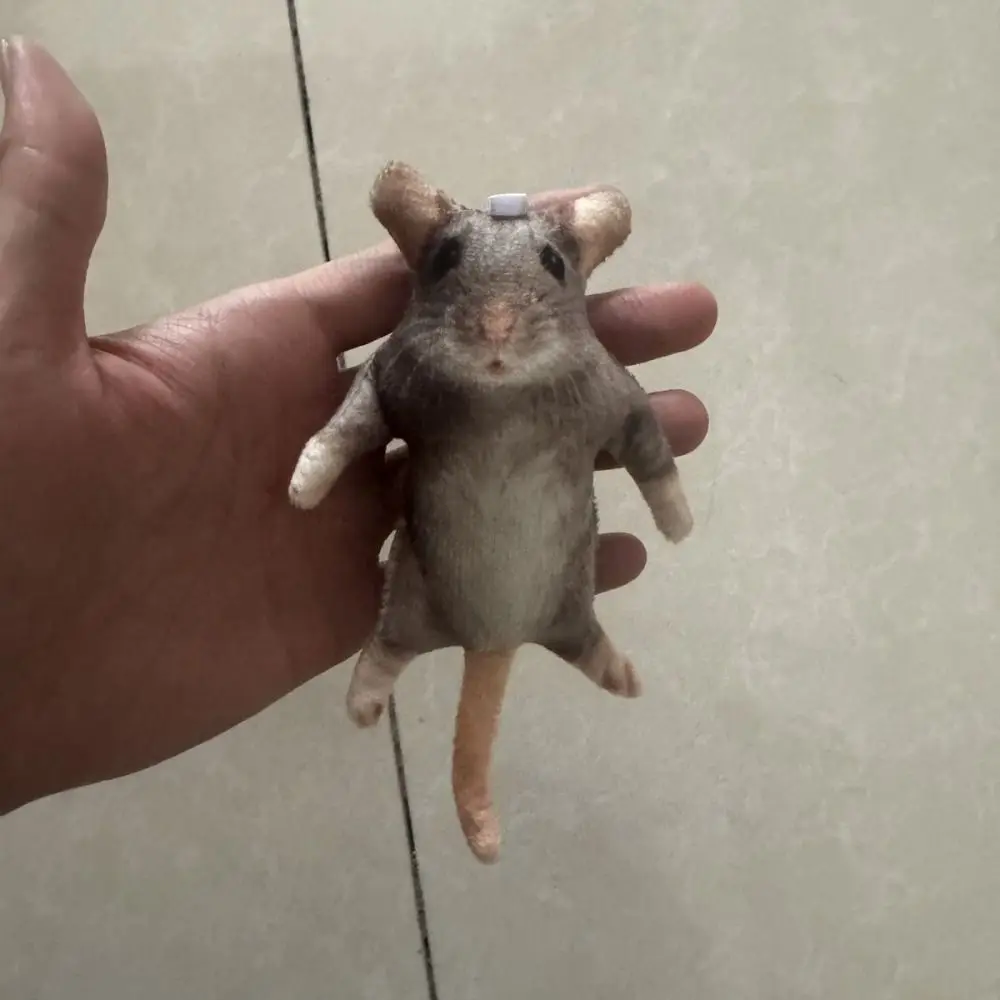 Creative Built in Skeleton Mouse Simulated Cartoon Rat Animal Figure 12/24cm Funny Mouse Birthday Gift