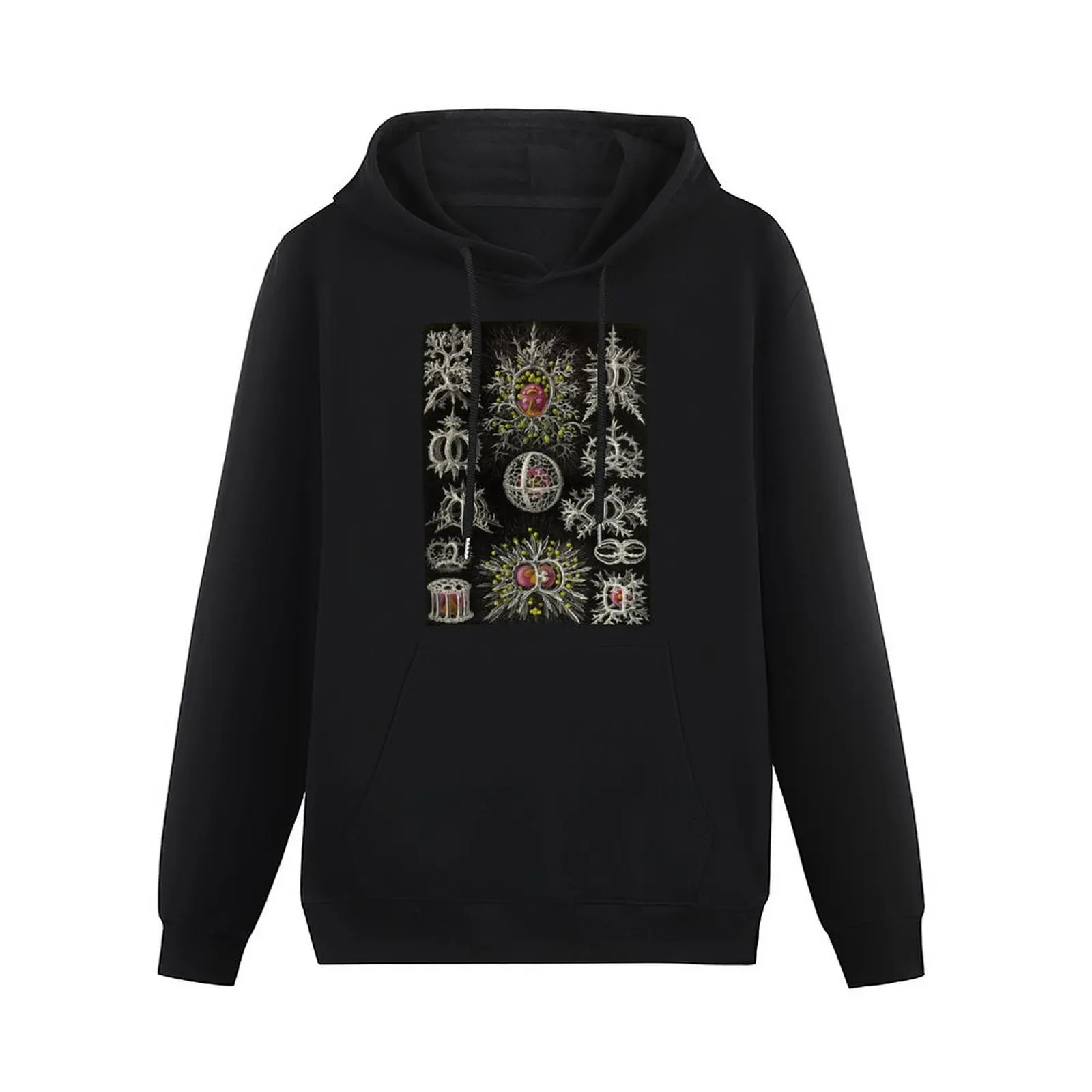 Stephoidea (Radiolaria) - Ernst Haeckel Pullover Hoodie men clothes autumn new products men wear mens clothes hoodie graphic