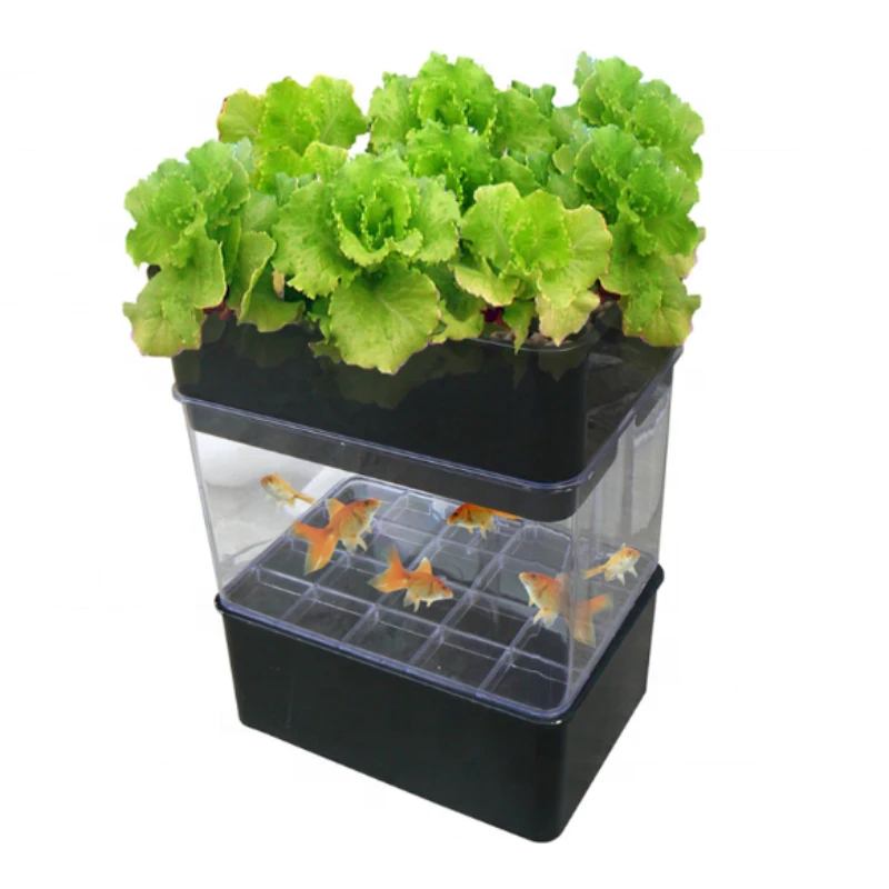 Complete Indoor Hydroponic Grow Planter Mini Fish Tank Small Home Aquaponics Growing Systems for Herbs, Fruit and Vegetables