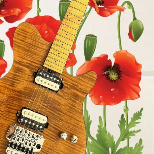 

Electric guitar, factory provides fast and free delivery, multiple styles, high-end quality, customizable @VQW