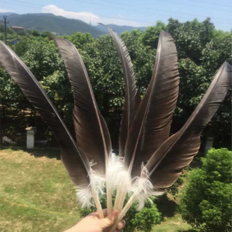 

10 pc quality natural eagle feathers, 55-65cm long, DIY jewelry decoration