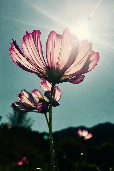 

RC Car 4pcs Duty 1.9" Blade Beadlock Wheel Rim Hub for 1/10 RC Crawler Axial SCX10 TRX4 RC4WD D90 Redcat Gen