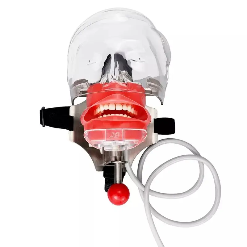 

YTYIN Simulator Nissin Manikin Phantom Fantom Teaching Model