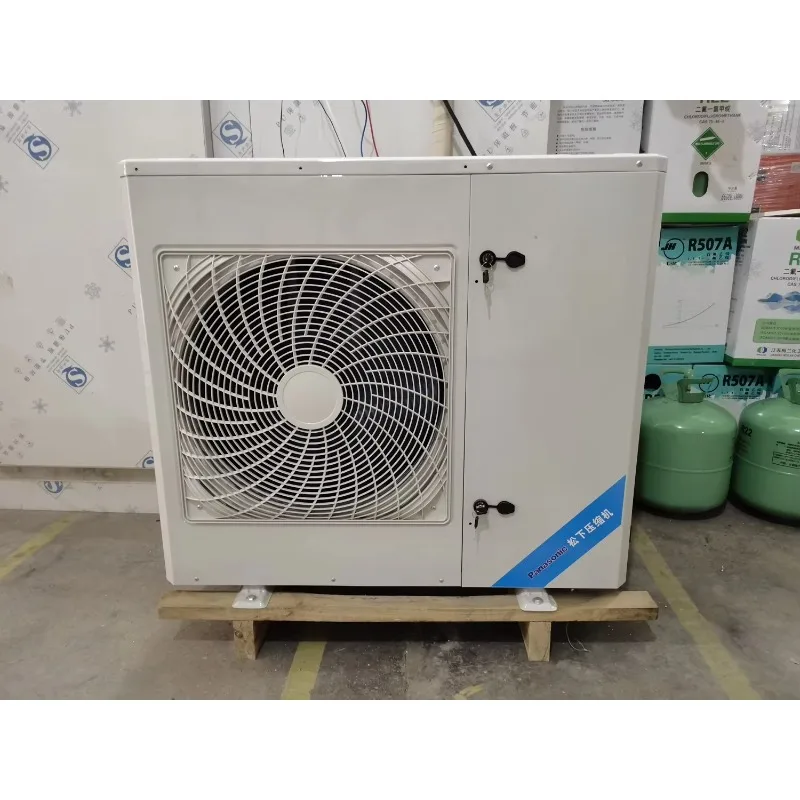 Customized Size Blaster Freezer for Meat Seafood -18'C 3m×2m×2.5m 3HP Condensing Unit 3PH 220V 60HZ