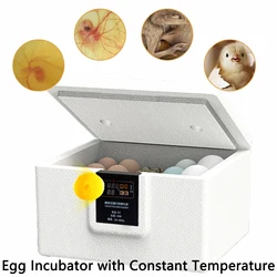 Egg Incubator Automatic Bionic Waterbed Incubator Egg Machine Thermostatic Incubator Manual Turnover All-in-One Machine