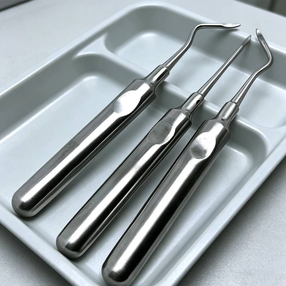 

3-Piece Stainless Steel Dental Extraction Kit – Includes Curved Root Elevator and Forceps for Efficient Tooth Removal