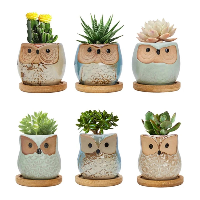 Owl Succulent Pots, Cute Owl Cactus Pots Animal Plant Pot Small Flower Pots With Drain Hole And Bamboo Tray, Set Of 6