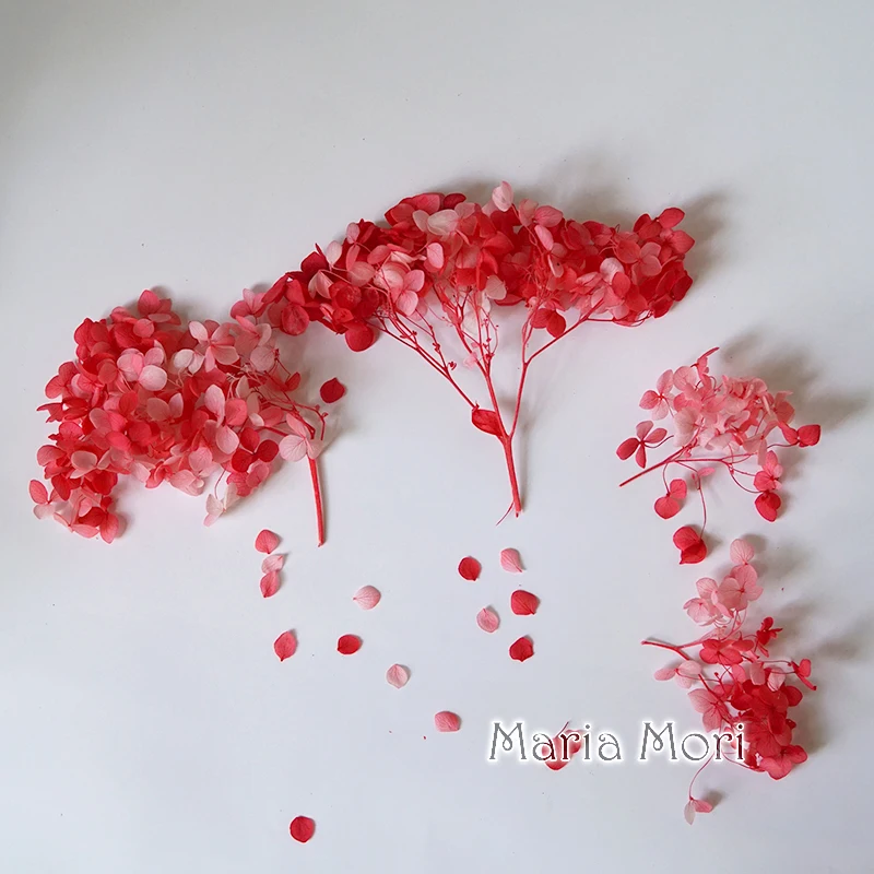 Thumbnail 4 - #14 Trending Dried Flowers Right Now