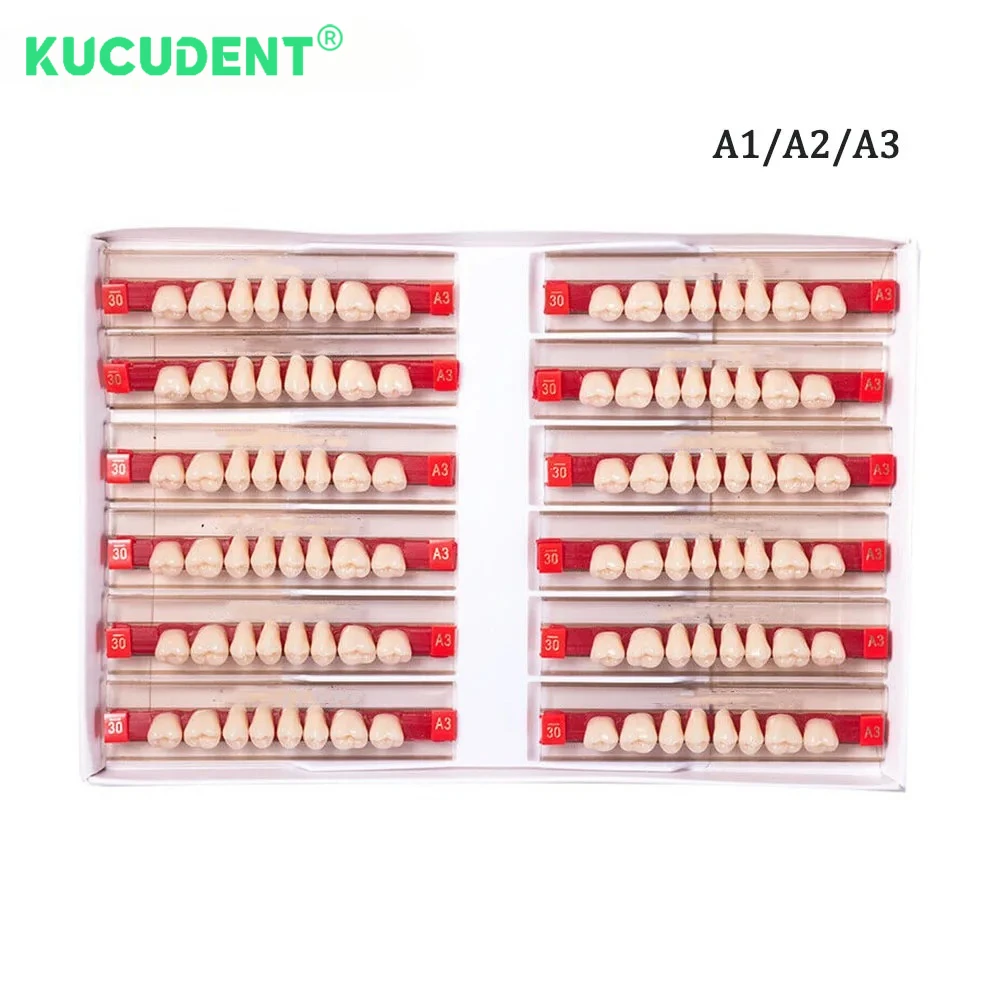 Рисунок 2 - зубы, верхняя передняя нижняя часть