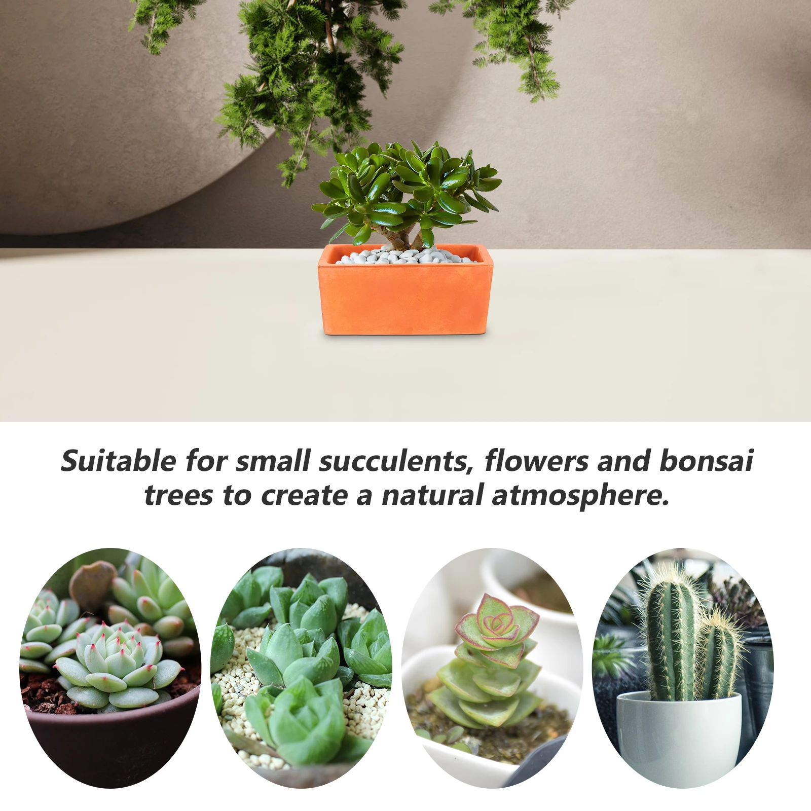 أصيص زهور تيراكوتا مستطيلة 12 سنتيمتر زارع الطين مع ثقب الصرف حاوية الفخار لتقوم بها بنفسك نباتات الحدائق عتبة النافذة الداخلية